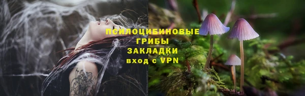 сатива Абинск