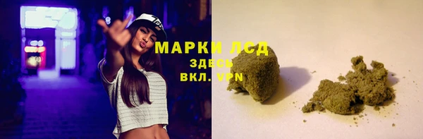 сатива Абинск