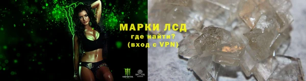 сатива Абинск